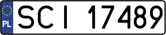 SCI17489