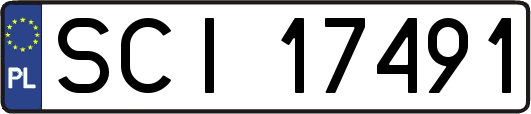 SCI17491