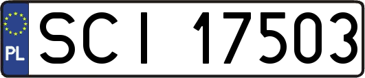 SCI17503