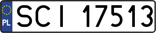 SCI17513