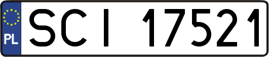 SCI17521