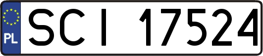 SCI17524