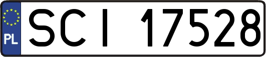 SCI17528
