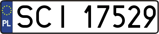 SCI17529