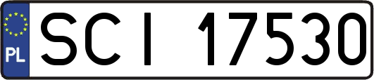 SCI17530