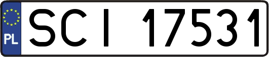 SCI17531