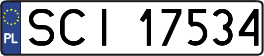 SCI17534