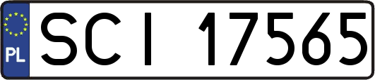 SCI17565