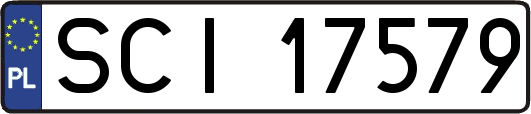 SCI17579