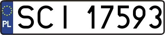 SCI17593