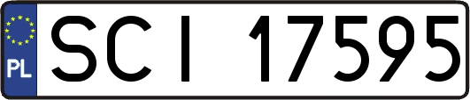 SCI17595