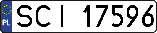 SCI17596