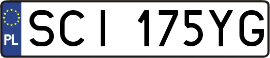 SCI175YG