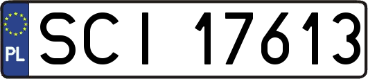 SCI17613