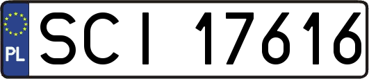 SCI17616