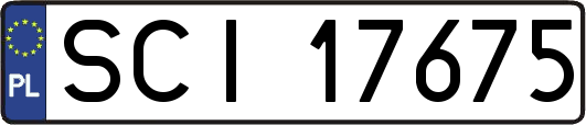 SCI17675