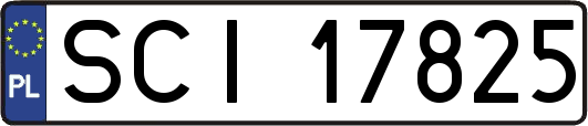 SCI17825