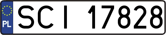 SCI17828