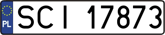 SCI17873