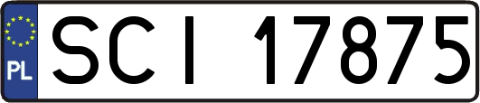 SCI17875