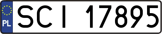 SCI17895