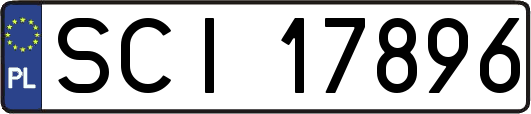 SCI17896