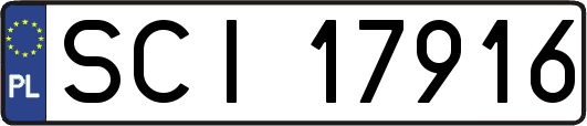 SCI17916