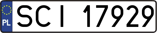 SCI17929