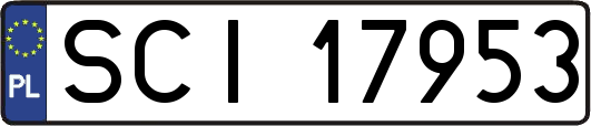 SCI17953