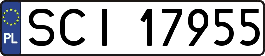 SCI17955