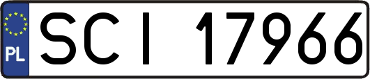 SCI17966