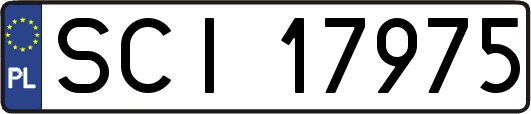 SCI17975