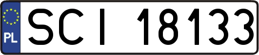 SCI18133