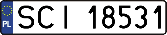 SCI18531