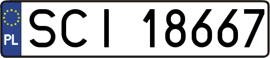 SCI18667