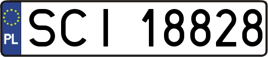 SCI18828