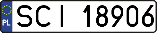 SCI18906