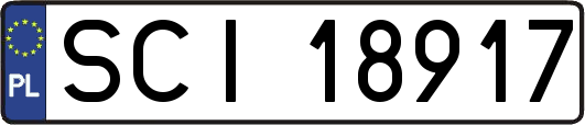 SCI18917