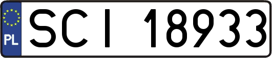 SCI18933