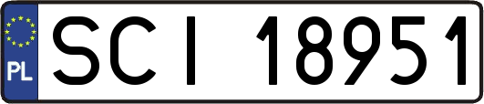 SCI18951