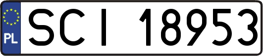 SCI18953