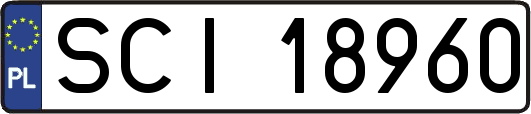 SCI18960