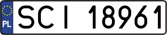 SCI18961