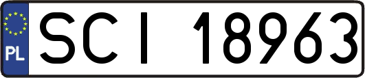 SCI18963