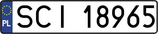 SCI18965