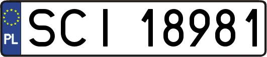 SCI18981