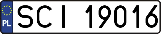 SCI19016