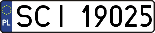 SCI19025