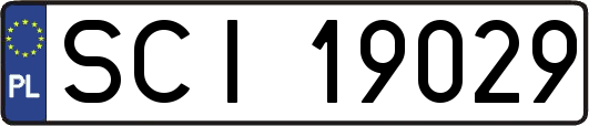 SCI19029