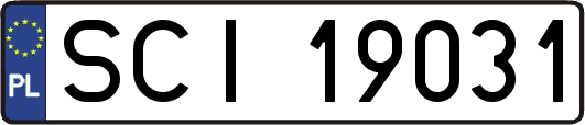 SCI19031
